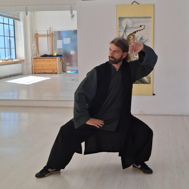 Picture of the teacher doing tai chi